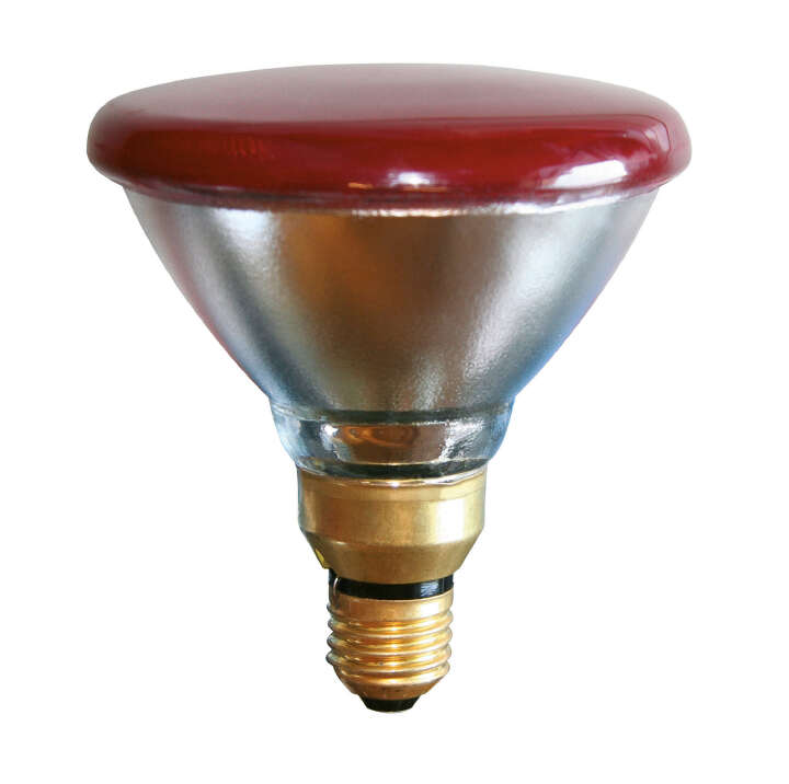 KERBL Infrarot-Sparlampe PAR 38